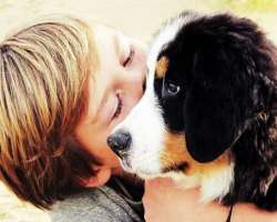 He spent his childhood with two pet dogs He spent his childhood with two pet dogs.